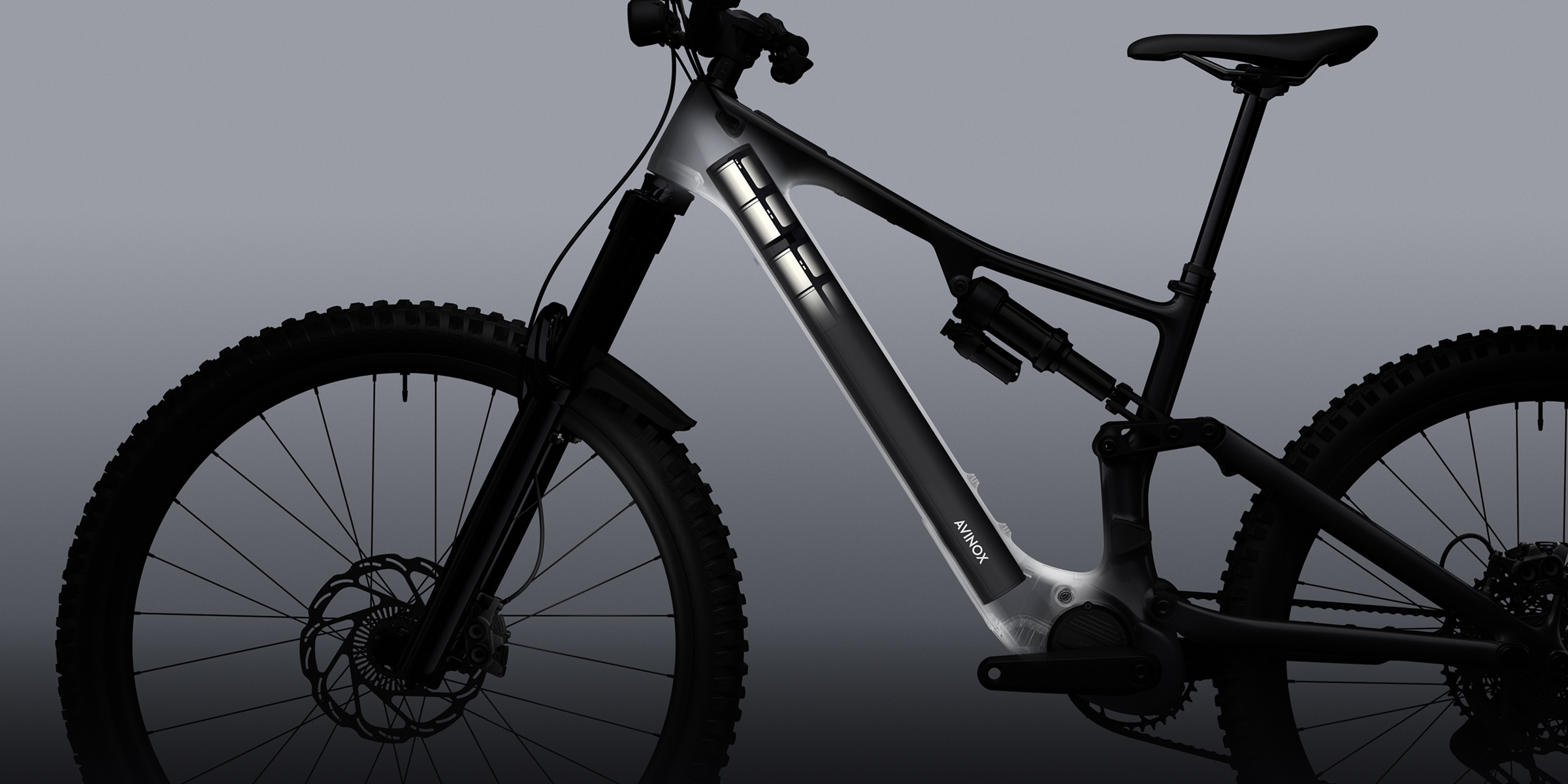 batteries lithium ion avinox
